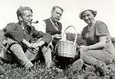 Ur familjen Wallerstedts album.
Tre personer sitter i gräset med en kaffekorg.
Dagmar Wallerstedt var handarbetslärarinna och hennes far var kamrer på Papyrus. Okända personer 1930-tal.