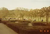 Landskapsbild med en grupp människor i Gunnebo slottspark, maj 1991.