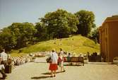 Gunnebo slottspark, juni 1989