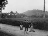 Postförare på linjen Cibadak - Bodjonglopang, Java, Indonesien, 1920-talet.