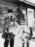 Posten hämtas vid poststationen i Kaunisvaara, 1946.