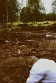 Arkeologisk utgrävning i Tulebo mosse, augusti 1993.