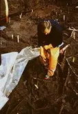 Arkeologisk utgrävning i Tulebo mosse, augusti 1993.