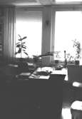 Mölndals stadshus, mars 1988. Interiör: Ett kontorsrum.