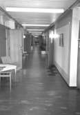 Mölndals stadshus, juni 1994. Korridor med kontorsrum.