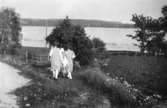 Nora Krantz och dottern Rosa (gift Pettersson) är på väg till Tulebosjön för att bada, 1920-tal. De kommer ifrån personalbostaden där de bor, och går längs med vägen ner till bryggan. 
Rosa Krantz är mamma till givaren.