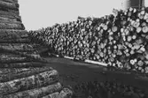 Trävirke för papperstillverkning, 1980-tal.
Bilden ingår i serie från produktion och interiör på pappersindustrin Papyrus.