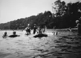 Vuxna och barn badar tillsammans, troligtvis i Tulebosjön cirka 1930.