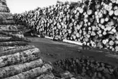 Massavedsupplag på pappersbruket Papyrus i Mölndal, år 1990.