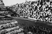Massavedsupplag på pappersbruket Papyrus i Mölndal, år 1990.