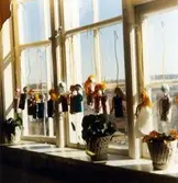 Dagisbarnens egna dockor. Dockteater hos Holtermanska deltidsgrupp 1987-03-10. Fotografi ur album tillhörande Blanka Kaplan.