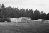 Byggnadsinventering i Lindome 1968. Greggered.
Hus nr: 081D3021.
Benämning: svinhus.
Kvalitet: god.
Material: plåt.
Tillfartsväg: framkomlig.