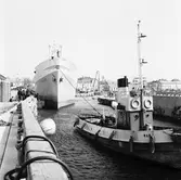 S/s Erik Banck i polhemsdockan