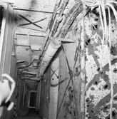 Fylgia upphängt efter skjutning