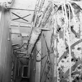 Fylgia upphängt efter skjutning