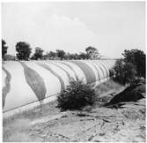 Statens Skeppsprovningsanstalt
Exteriör