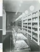 Bageributik
Interiör