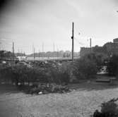 Kungsträdgården, Vy över Strömbron.
Vy över Skeppsholmen och Kungliga slottet, bilden tagen från Kungsträdgården