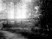 Oidentifierad kyrka
Klockstapel
Exteriör