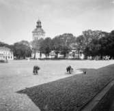 Varbergs torg och kyrka, Halland
Exteriör

Svensk arkitektur: kyrkor, herrgårdar med mera fotograferade av Arkitekturminnesföreningen 1908-23.