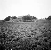 Bua by, Halland
Exteriör

Svensk arkitektur: kyrkor, herrgårdar med mera fotograferade av Arkitekturminnesföreningen 1908-23.