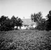 Lerberget, Skåne
Byggnad från 1852 som senare fått adressen Segelvägen 19.
Exteriör

Svensk arkitektur: kyrkor, herrgårdar med mera fotograferade av Arkitekturminnesföreningen 1908-23.