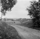 Ottarp, Skåne
Landskap

Svensk arkitektur: kyrkor, herrgårdar med mera fotograferade av Arkitekturminnesföreningen 1908-23.