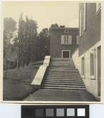 Svenska Institutet i Rom
Exteriör med trappa i förgrunden.