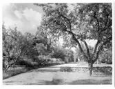 Biskopsgården i Skara
Trädgård med gräsmatta, stenmurar, buskar och träd.