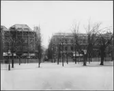 Stockholms Enskilda Bank
Totalvy från Kungsträdgården. Byggnadsplatsen.