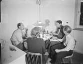 Matrast
Fyra män och en kvinna dricker öl och äter smörgås
Interiör
