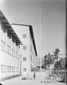 Skola
Exteriör