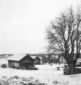 Runskog
Exteriör