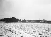 Runskog
Exteriör