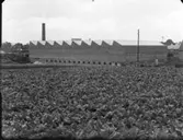 Företaget F.W. Haker, Skurup
Mekanisk verkstad
Exteriör