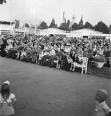 Festtåg, Kalmar
Publikbild