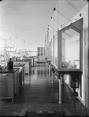 Laboratorium
Interiör