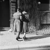 Kläder
Man och kvinna gående på en trottoar