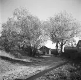 Öster Ledinge sågverk
Exteriör