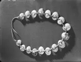 Halsband av snäckor