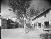 Kooperativa, Tanums hede
Exteriör