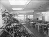 Slitman, Sala
Matsal med växter
Interiör