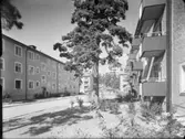 Flerbostadshus, Lotterivägen, Hägerstensåsen
Exteriör