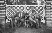 Villa Ulfhaga med familjen Sandström, Velamsund
Två män med hundar famför grindarna