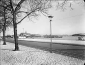 Strandvägen mot Nordiska museet och Galärvarvet
Exteriör