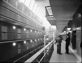 KTH - Kungliga Tekniska Högskolan
Ljusgård
Interiör