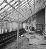 Ateljé i ett växthus under arbetet med konstnären Egon Möller-Nielsens lekskulptur Tuffsen
Interiör