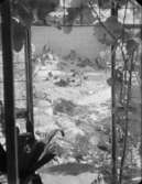 Villa, Lidingö
Trädgård
Exteriör