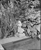 Damm med skulpturen Flickan och delfinen
Exteriör