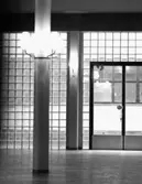 Sporthall i Eskilstuna
Detalj av glasvägg- och dörrpar i stora foyern